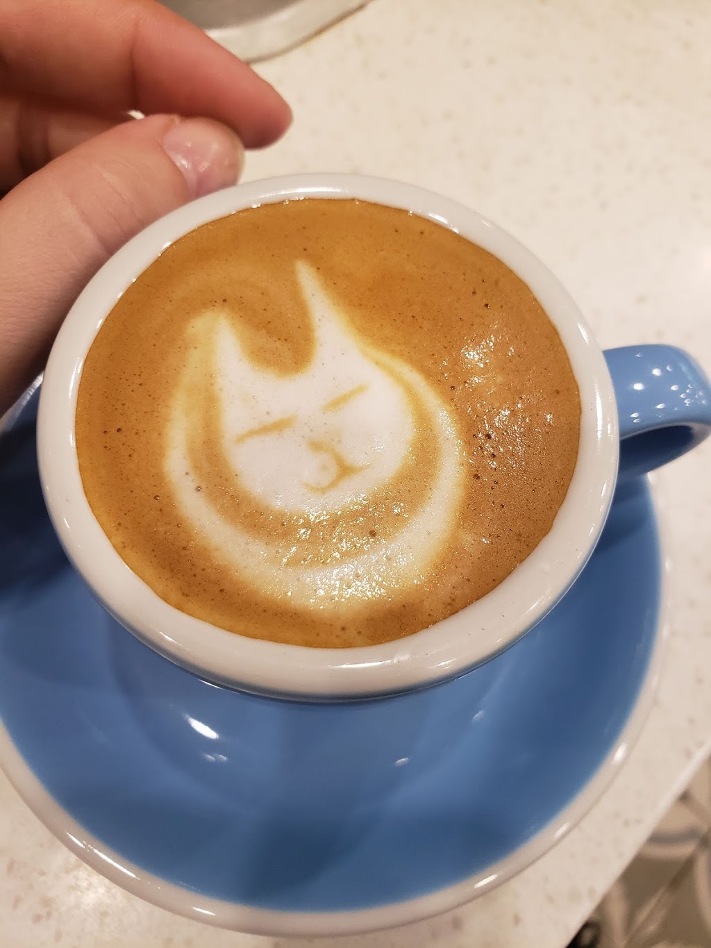 Matter Of Taste Coffee Bar | 451 Phillip St, Waterloo, ON N2L 3X2, Canada | Phone: (519) 883-4052