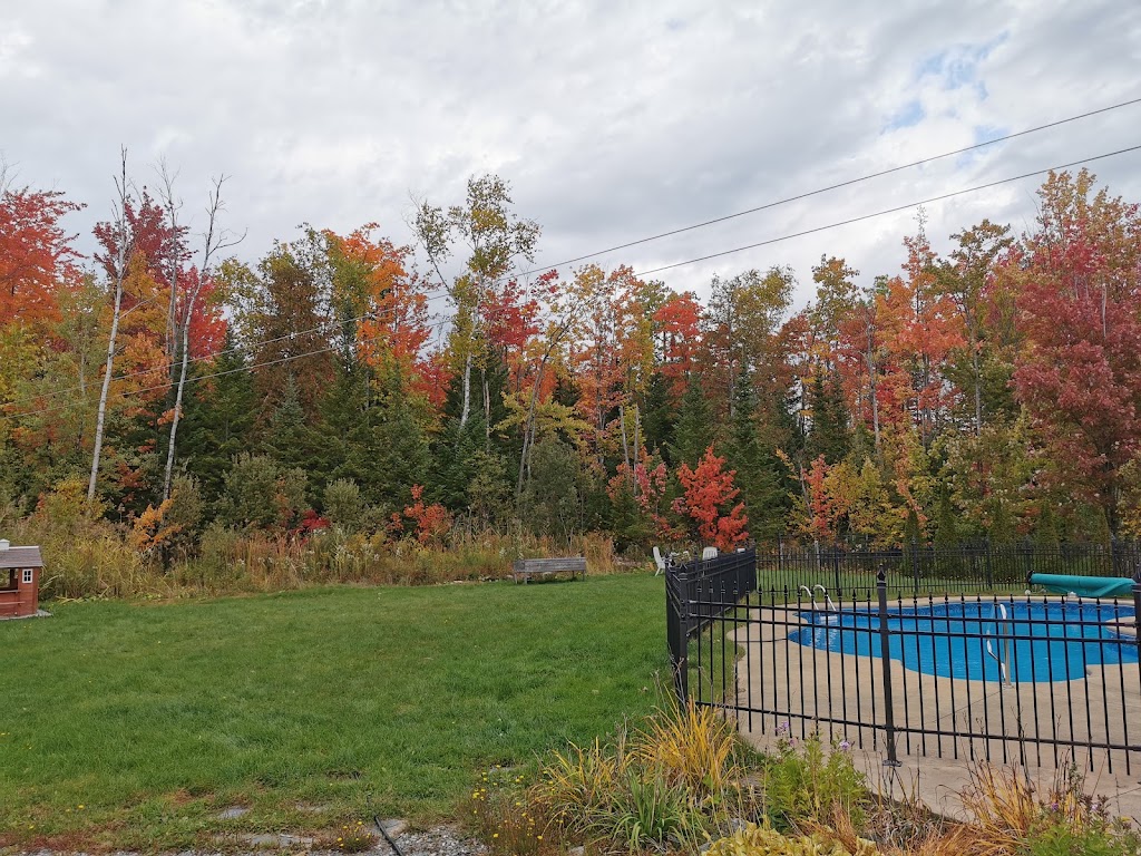 Nursery Les Six Plumes | 144 Rue Goudreau, Magog, QC J1X 5T1, Canada | Phone: (819) 201-2555