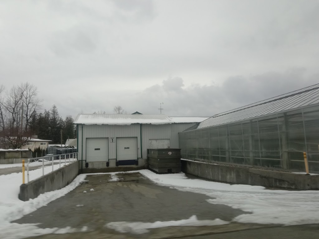 Rosedale Greenhouses Ltd | 50935 Wilbourn Rd, Rosedale, BC V0X 1X0, Canada | Phone: (604) 858-8100