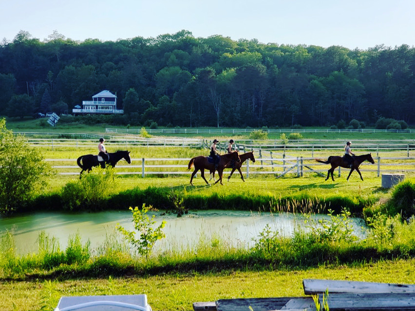 Foxbrook Farm | 1501 Ziska Rd, Bracebridge, ON P1L 1W8, Canada | Phone: (705) 380-5115