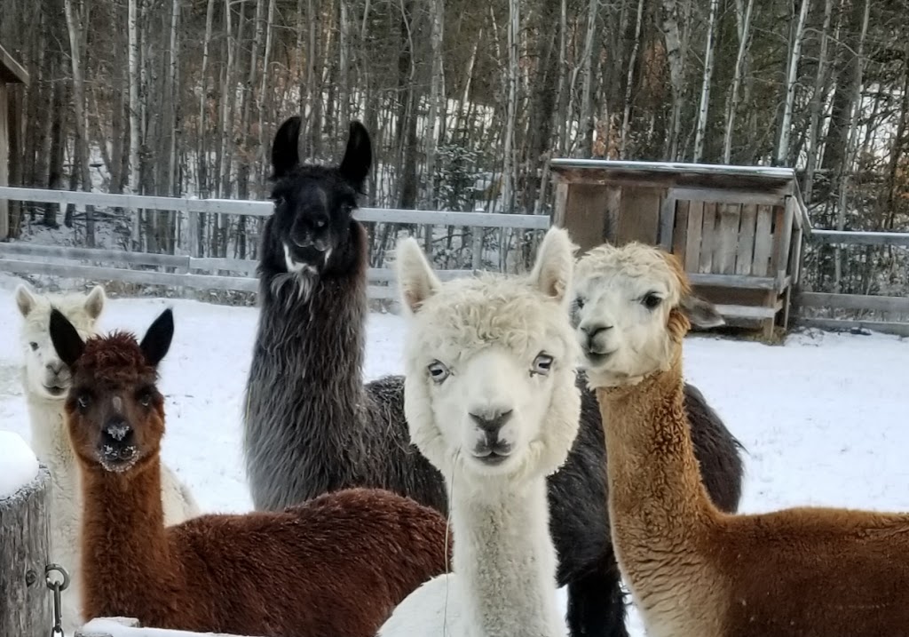 INFINITY FARM www.InfinityFarm.ca | 310 Chem. Kerr, Luskville, QC J0X 2G0, Canada | Phone: (873) 353-7580