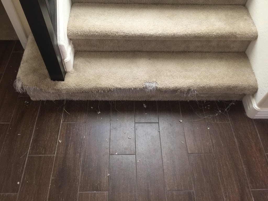 Calgary Carpet Repair & Cleaning | 16 Lake Adams Pl SE, Calgary, AB T2J 3S8, Canada | Phone: (587) 317-5646