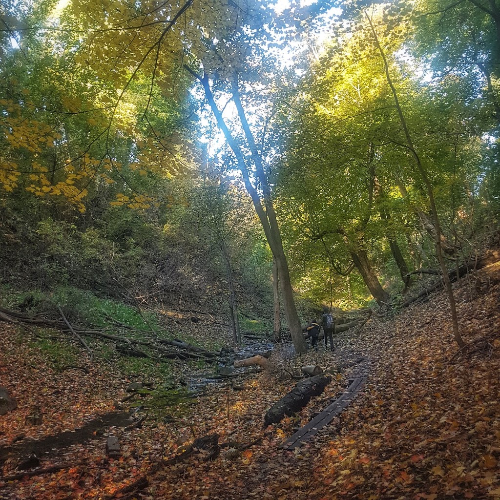 Williamson Park Ravine | 1680 Gerrard St E, Toronto, ON M4L 2K5, Canada