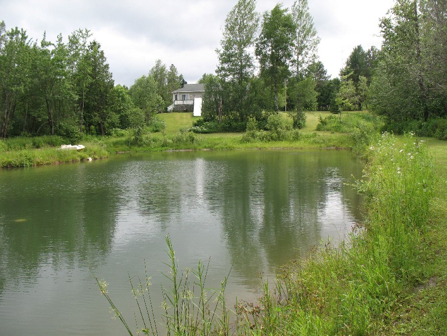 Mésange huppée | 36 Chemin Gosford, Bishopton, QC J0B 1G0, Canada | Phone: (819) 884-1232