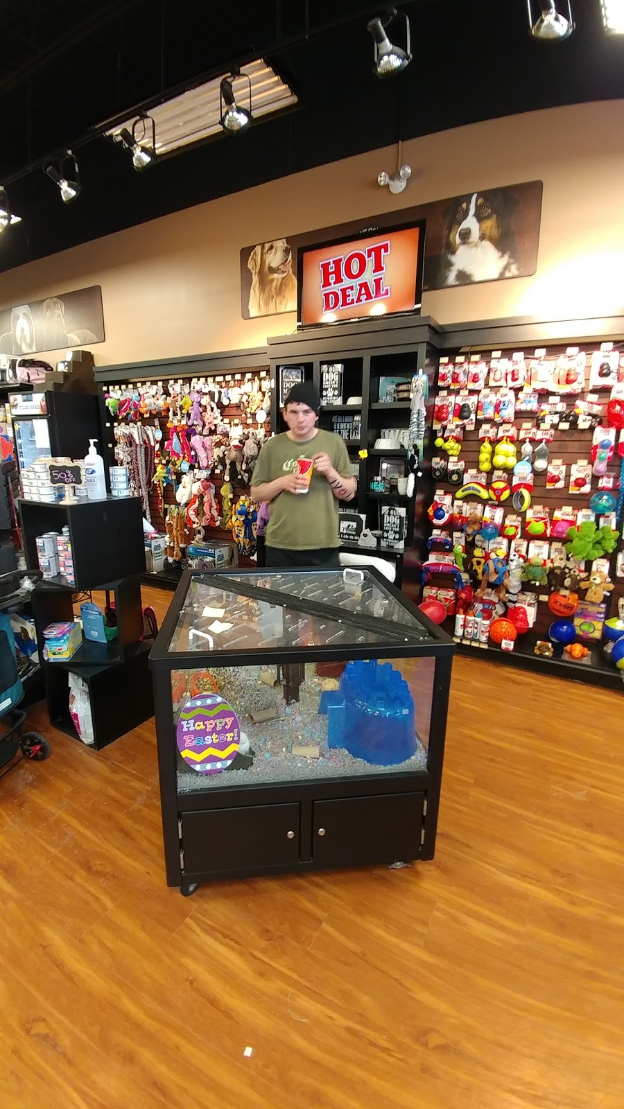 Pet Valu | 165 Mitchell Rd S, Listowel, ON N4W 3K9, Canada | Phone: (519) 291-2050