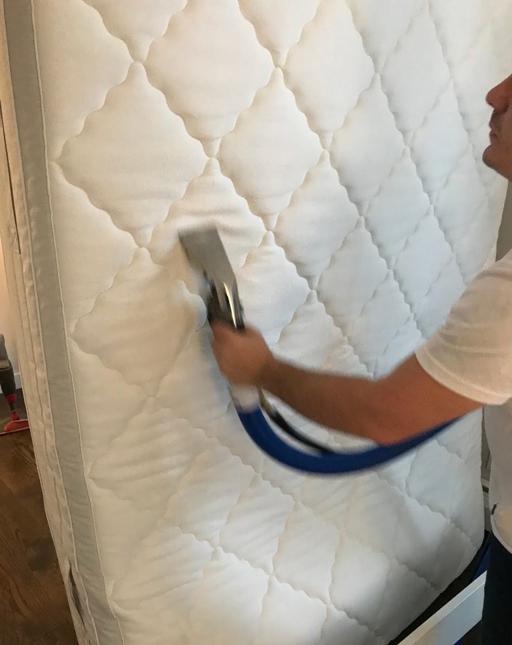 Pacific Union Carpet Cleaning | 515-2818 Main St, Vancouver, BC V5T 0C1, Canada | Phone: (604) 343-2791