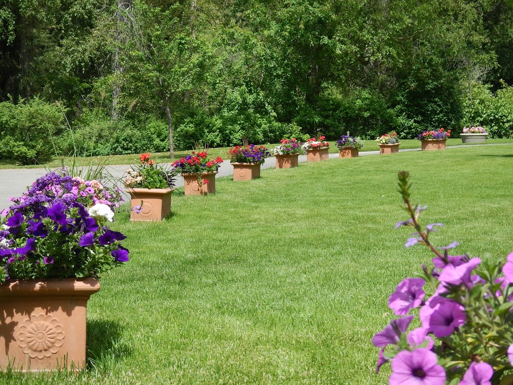 The Canyon RV Resort & Campground | 5012 Sinclair Creek Rd, Radium Hot Springs, BC V0A 1M0, Canada | Phone: (250) 347-9564