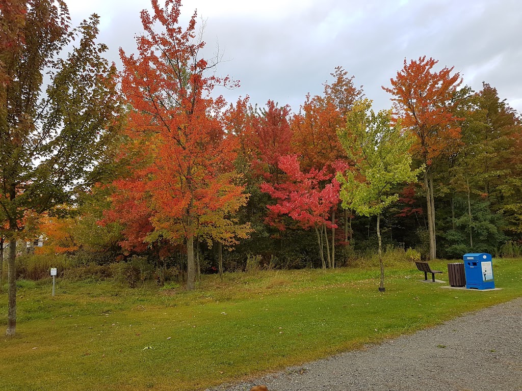 Parc Henri-Martin | 241 Rue Dureault, Granby, QC J2J 2Z7, Canada | Phone: (450) 776-8282