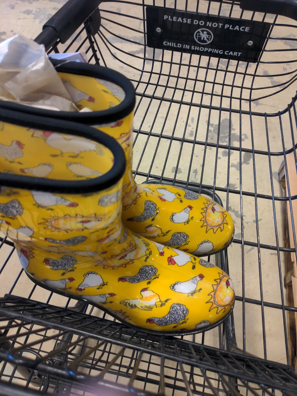 Hashbrowns Homestead Supplies | 1880 49 Ave, Red Deer, AB T4R 2N7, Canada | Phone: (403) 346-7884