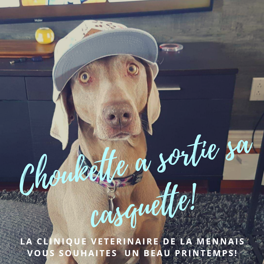 Clinique Veterinaire de la Mennais | 1077 Chemin de Saint-Jean, La Prairie, QC J5R 2L6, Canada | Phone: (450) 659-1555