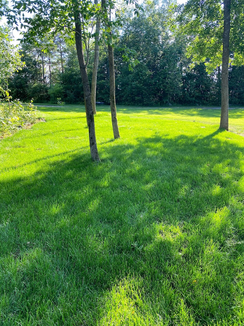 Page Landscaping & Excavation | 2484 Baguley Rd, Port Severn, ON L0K 1S0, Canada | Phone: (705) 794-5890