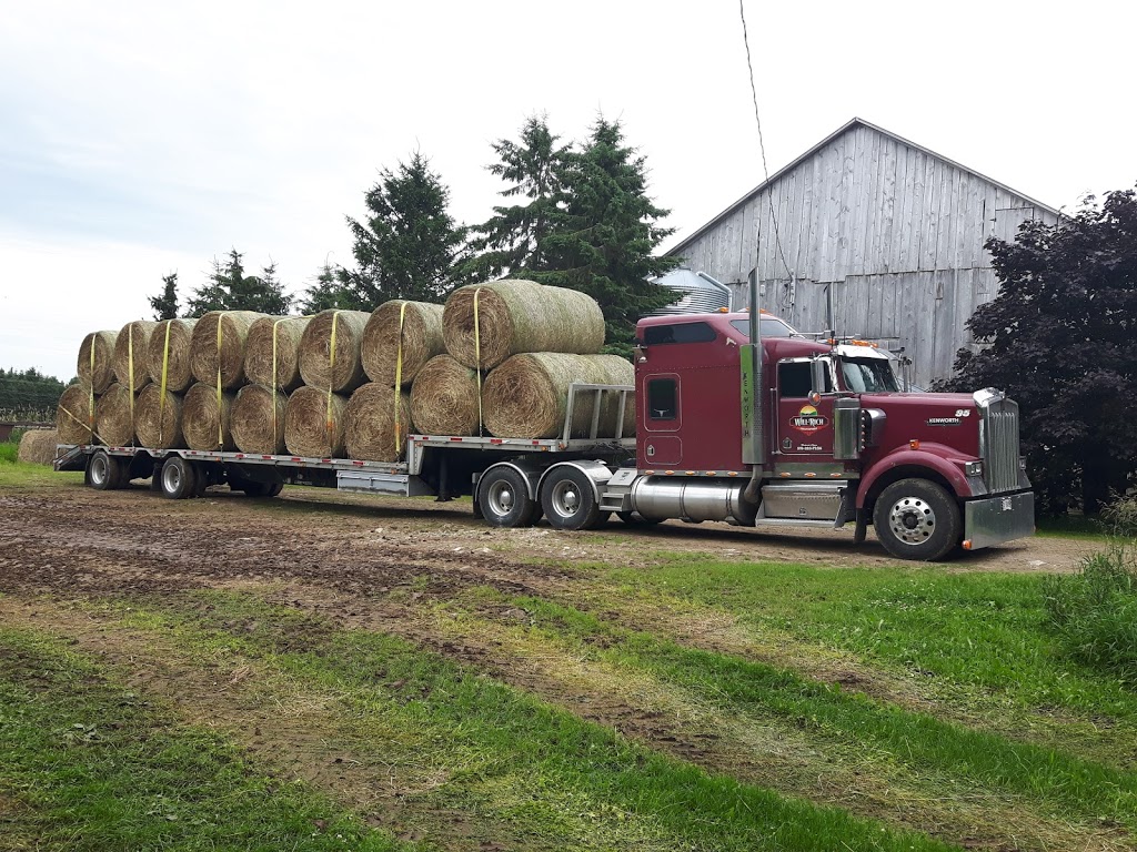 Will Rich Transport | 9100-8942, Wellington 16, Kenilworth, ON N0G 2E0, Canada | Phone: (519) 323-7226