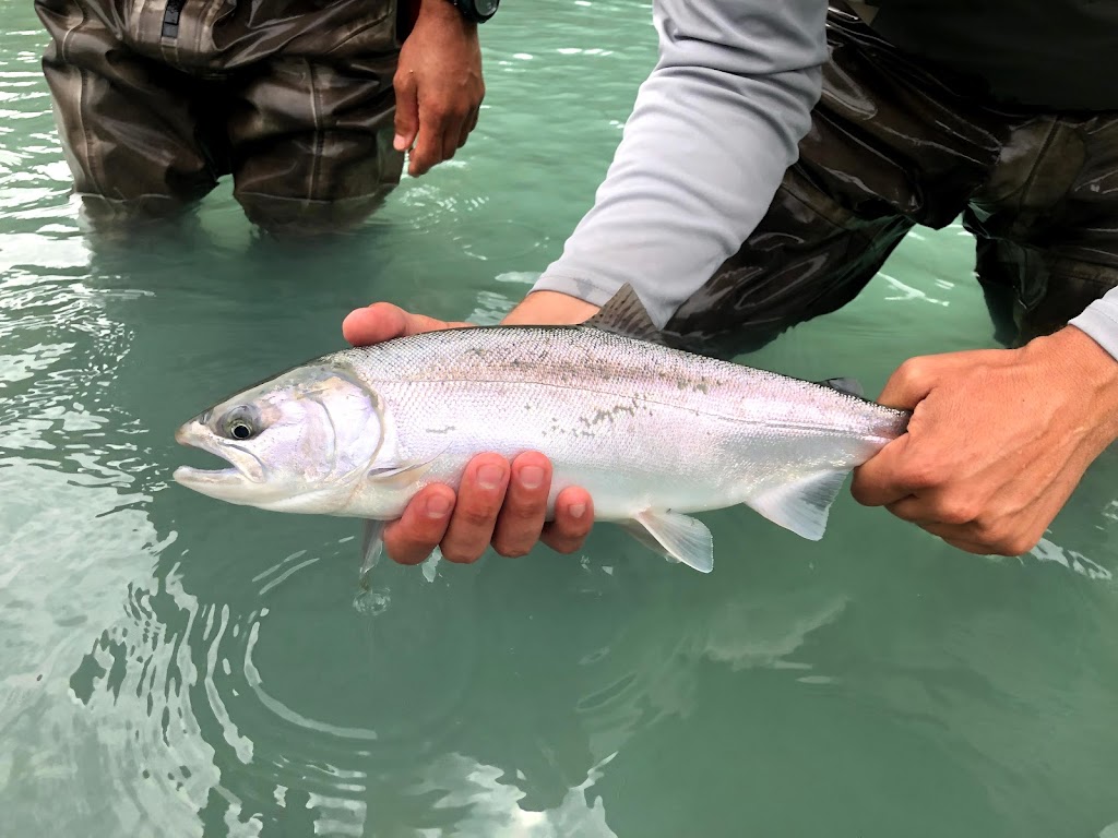 Valley Fishing Guides Ltd. | 41955 Birken Rd, Brackendale, BC V0N 1H0, Canada | Phone: (604) 938-4458