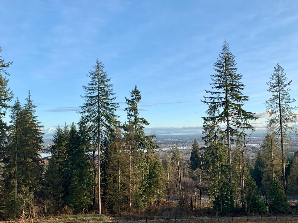 Aura 2 Burke Mountain By Noura Homes | 1390 Mitchell St, Coquitlam, BC V3E 0M5, Canada | Phone: (604) 716-8677