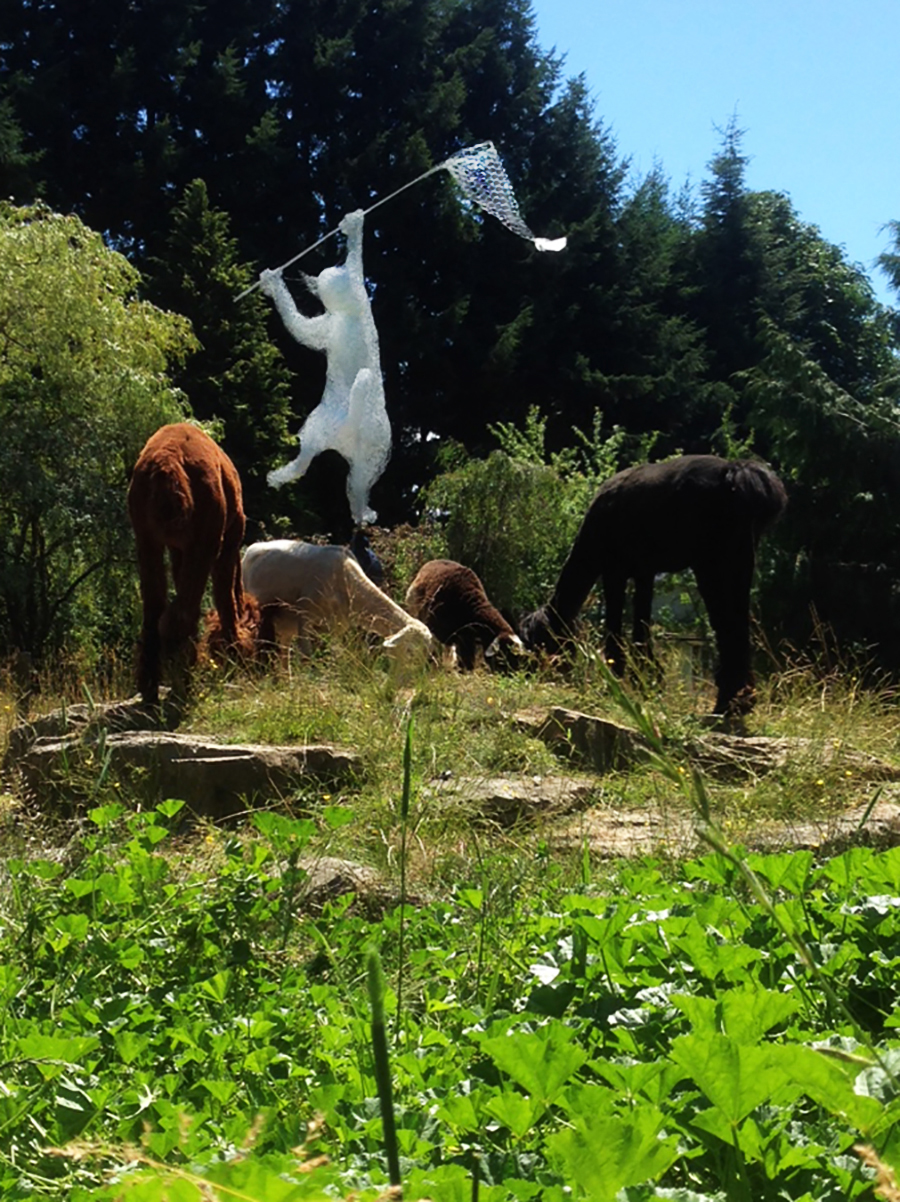 Comfy Cat Boarding Kennel | 5320 Island Hwy W, Qualicum Beach, BC V9K 1Z2, Canada | Phone: (250) 757-9991
