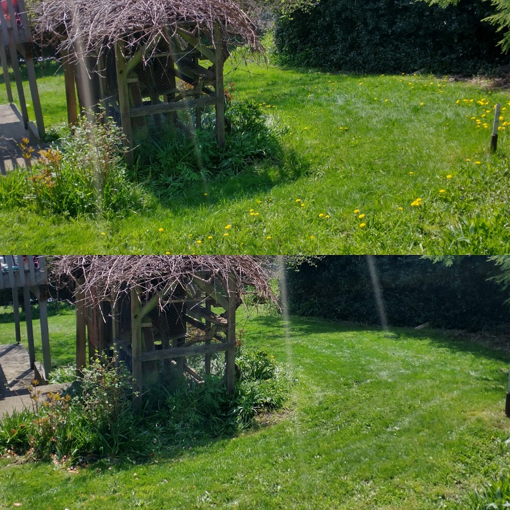 Sunshine Coast Lawn Care | 116 Sunshine Coast Hwy #1413, Gibsons, BC V0N 1V5, Canada | Phone: (250) 886-2769