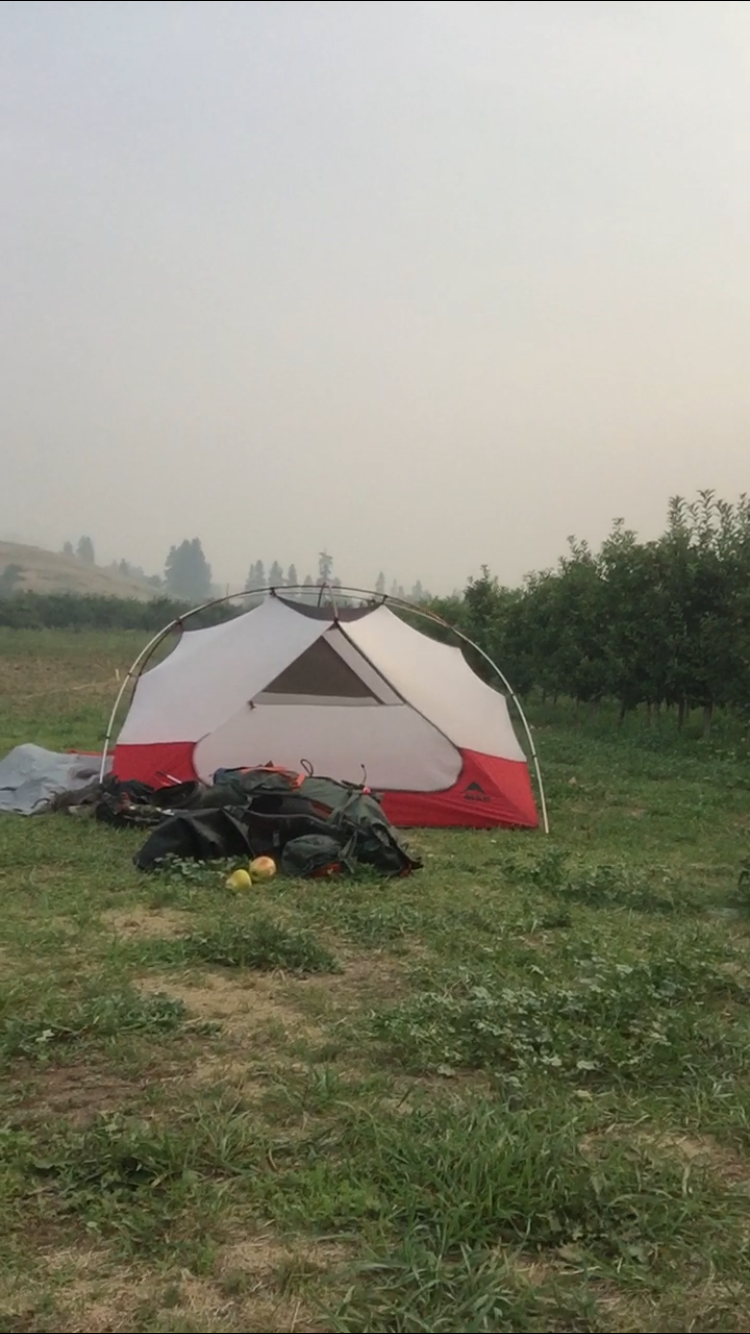 The Orchard RV Retreat | 4391 Eyles Rd, Lake Country, BC V4V 2A7, Canada | Phone: (250) 317-0057