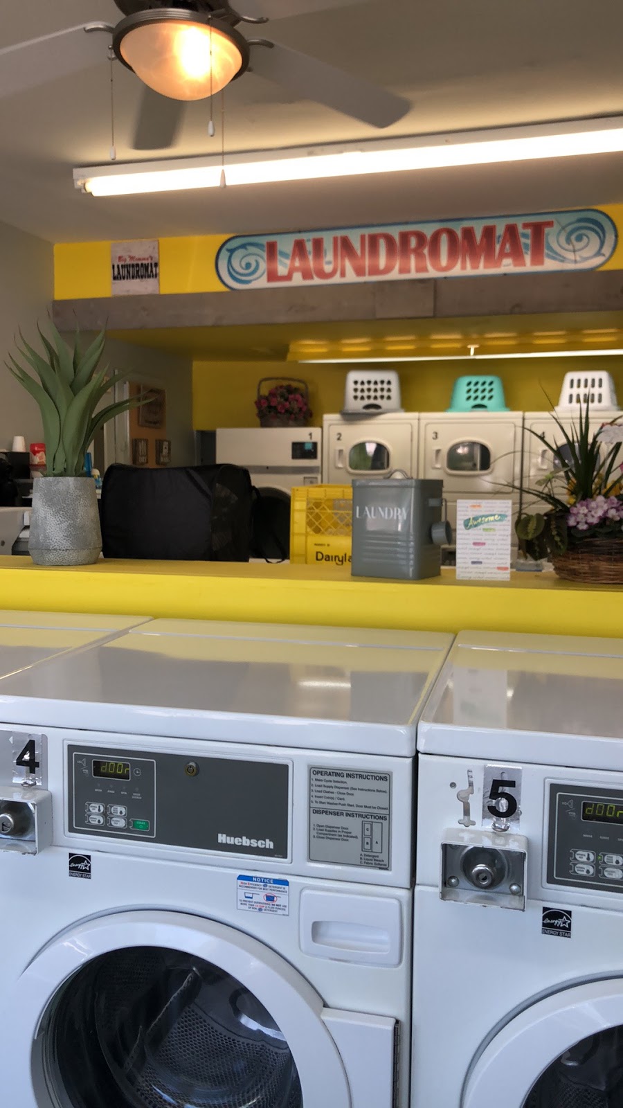 Laundry on the Go | 7254 A Pioneer Ave, Agassiz, BC V0M 1A0, Canada | Phone: (604) 791-6646