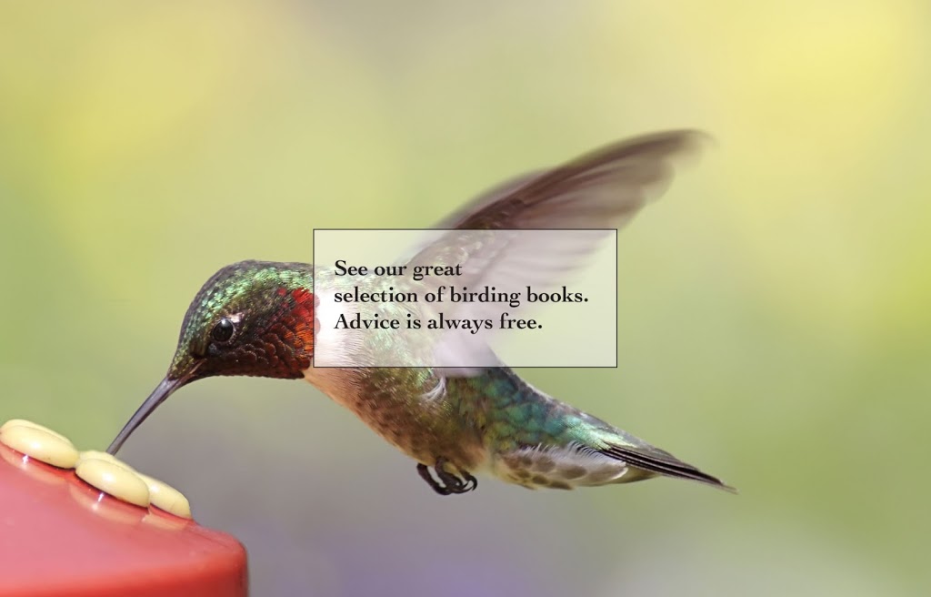 Bird House Nature Co | 108 Mississaga St E, Orillia, ON L3V 1V7, Canada | Phone: (705) 329-3939