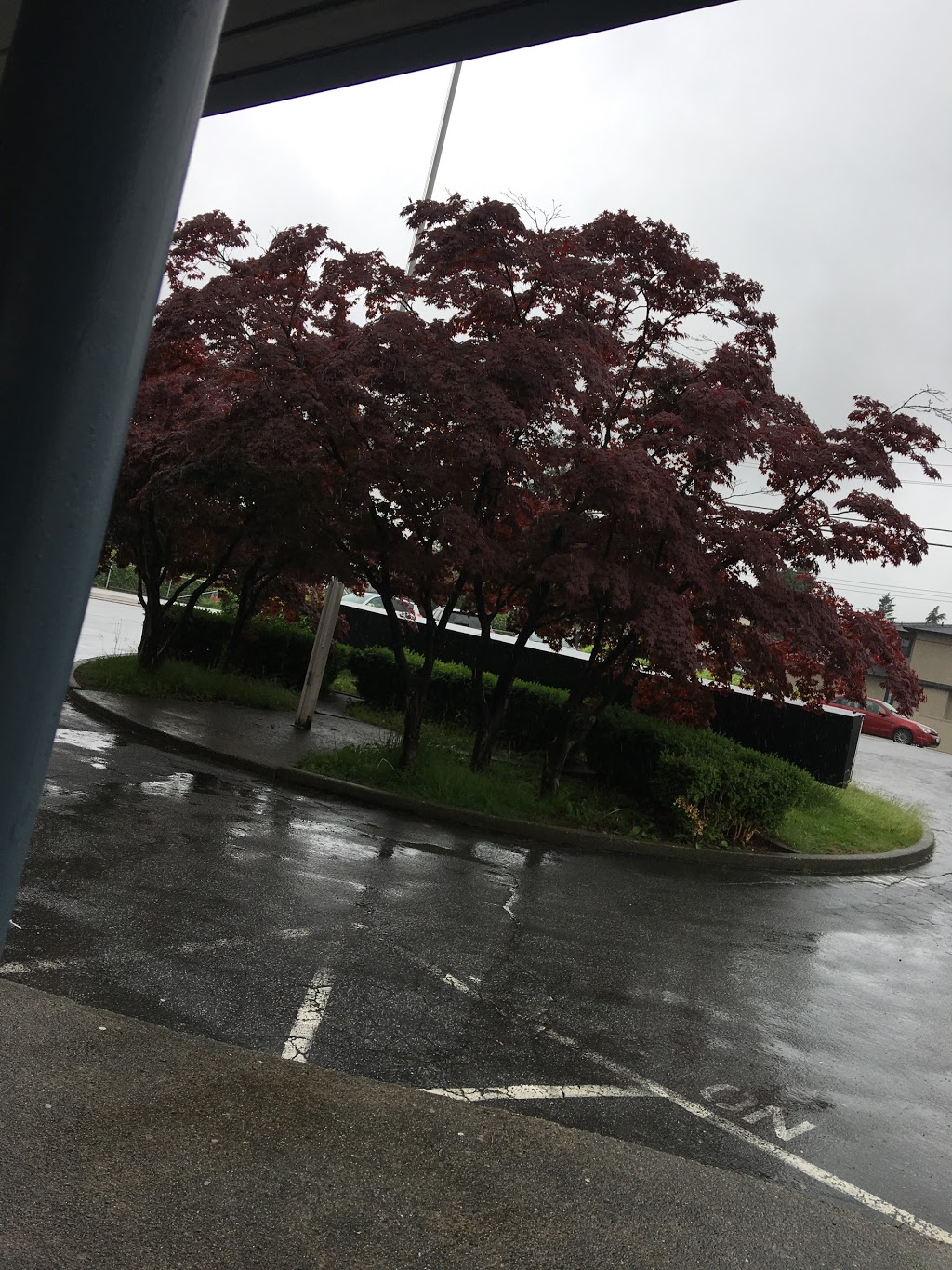 New Westminster Secondary School | 835 8th St, New Westminster, BC V3M 3S9, Canada | Phone: (604) 517-6220