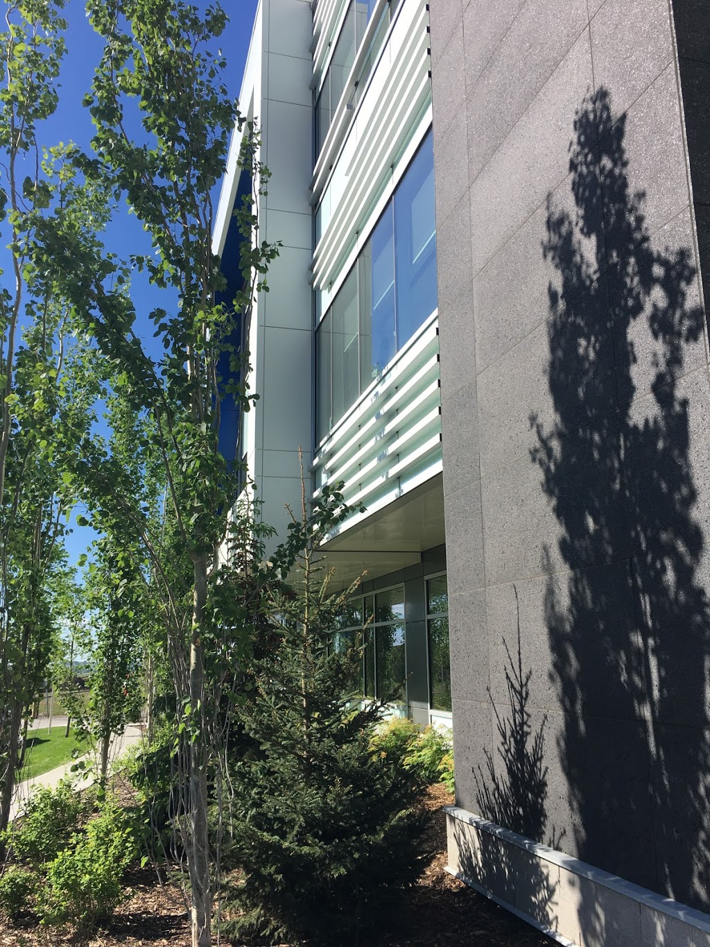 Seton Professional Health Centre | 3815 Front St SE, Calgary, AB T3M 2J6, Canada | Phone: (587) 393-3866