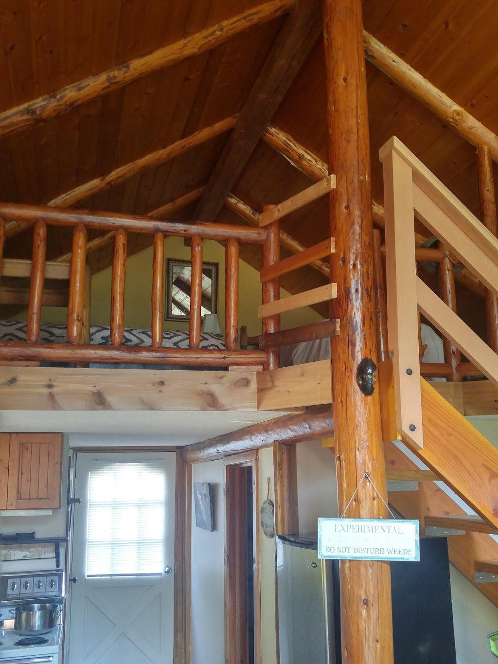 River Quest Charters | 5650 West Riverbottom Rd, Duncan, BC V9L 6H9, Canada | Phone: (250) 748-4776