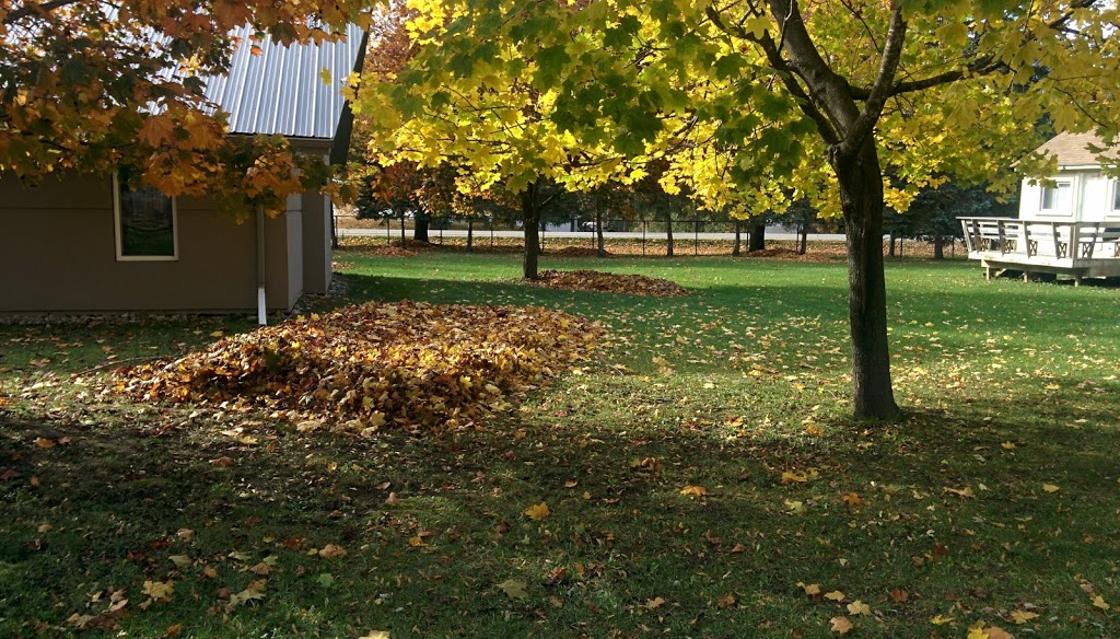 Hungarian Baptist Camp | 6389 Rama Rd, Orillia, ON L3V 6H6, Canada | Phone: (705) 326-6965