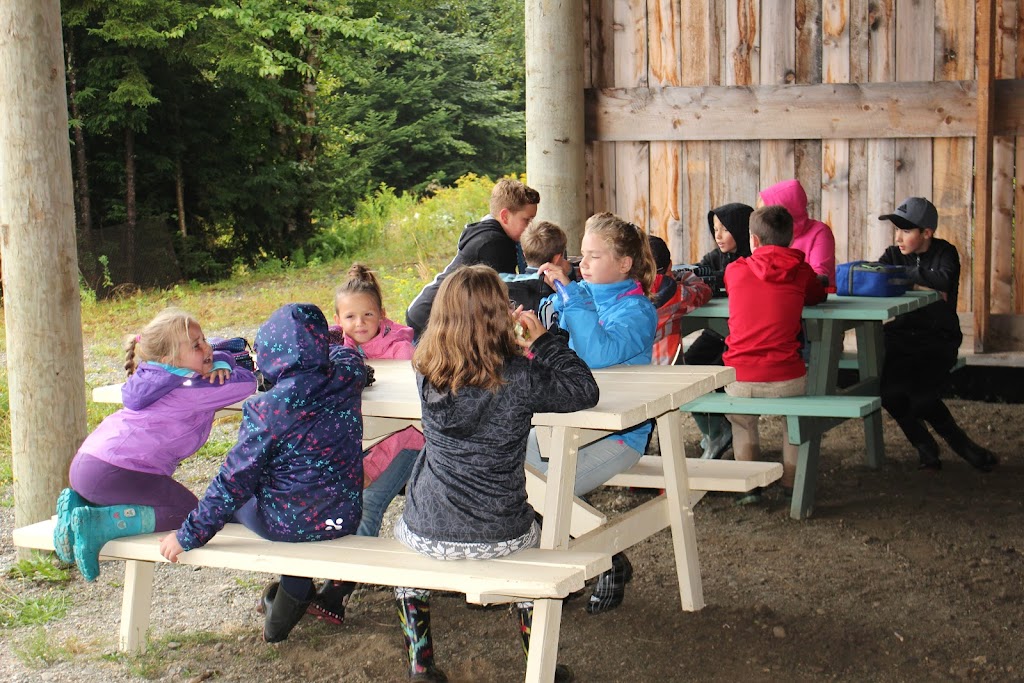 La bergerie en herbe | 90 Chemin de St Isidore, Martinville, QC J0B 2A0, Canada | Phone: (819) 835-0077