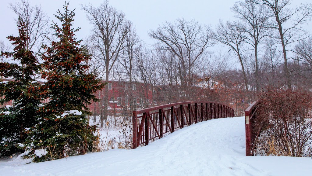 Orchard Woodlot Central | Burlington, ON L7L 6Z1, Canada