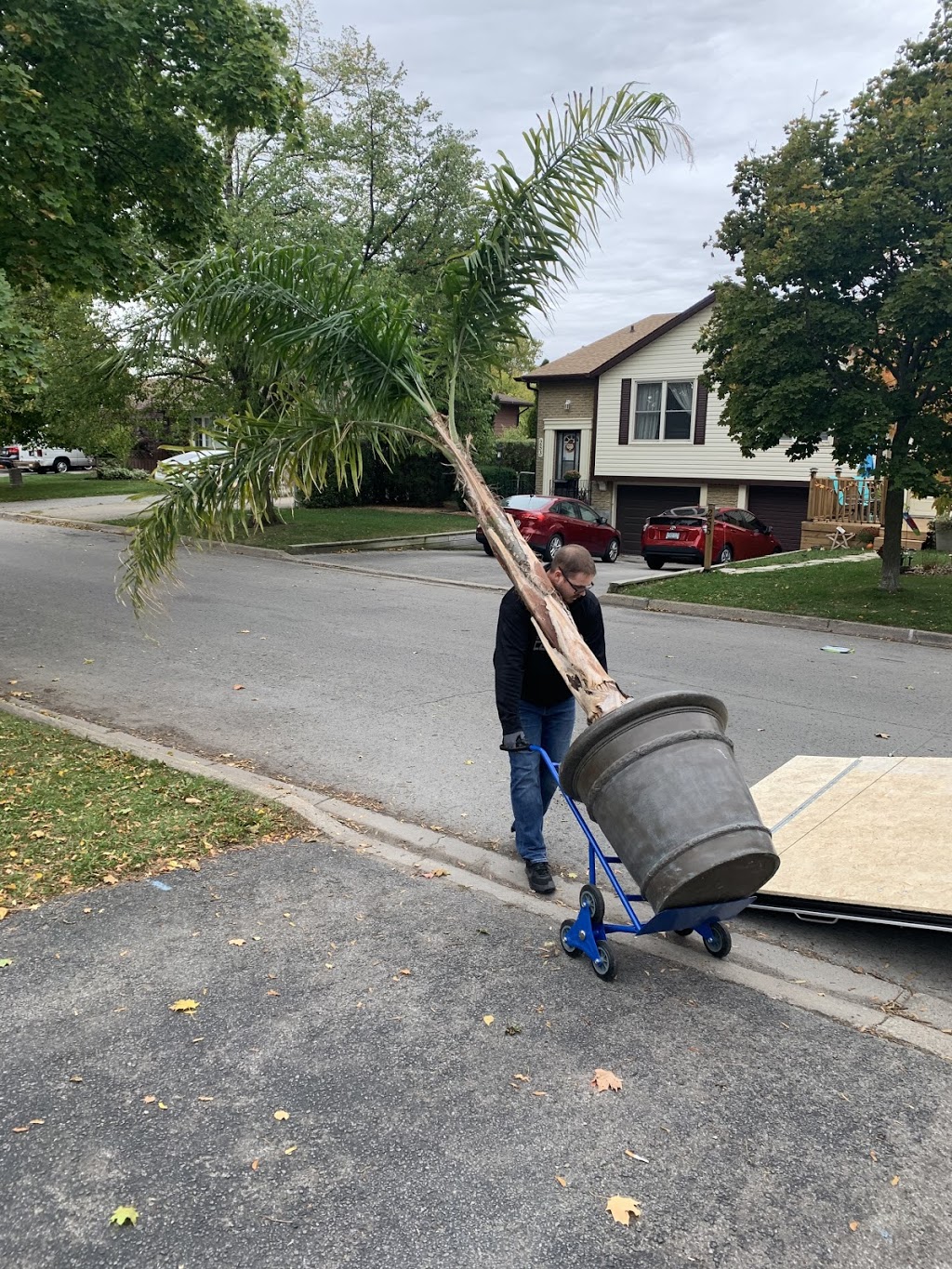 Goliath Moving | 11 Haney Dr, Thorold, ON L2V 0G5, Canada | Phone: (905) 401-6009