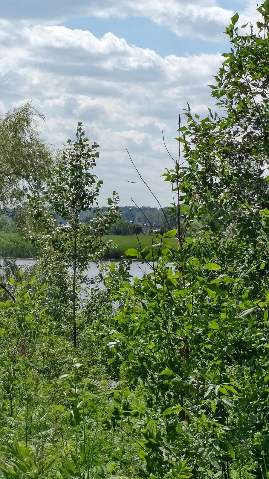 Alex Robertson Park | 700 Sandy Beach Rd, Pickering, ON L1W, Canada | Phone: (905) 683-7575