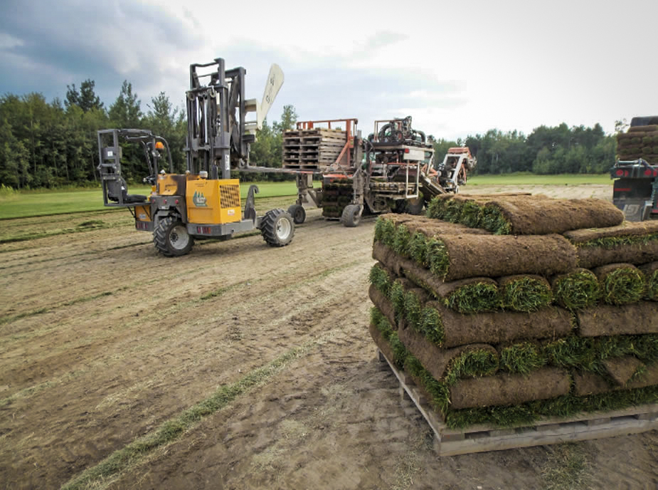 Les Gazons Michel inc. | 142 Chem. des Patriotes E, Saint-Jean-sur-Richelieu, QC J2X 4J3, Canada | Phone: (450) 347-3889