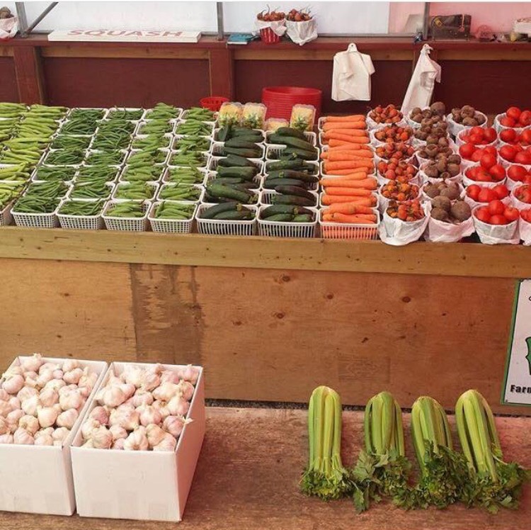 E.F.T. Farms | 5420 10 Sideroad, Cookstown, ON L0L 1L0, Canada | Phone: (647) 308-4349