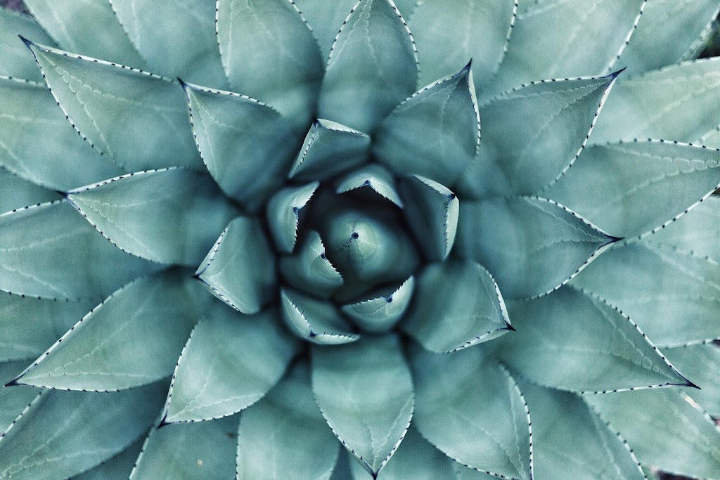 West Island Hypnosis Center | Inside Centre de Santé Pelvienne Kinatex, 39A Ave Donegani, Pointe-Claire, QC H9R 2V7, Canada | Phone: (514) 697-4444