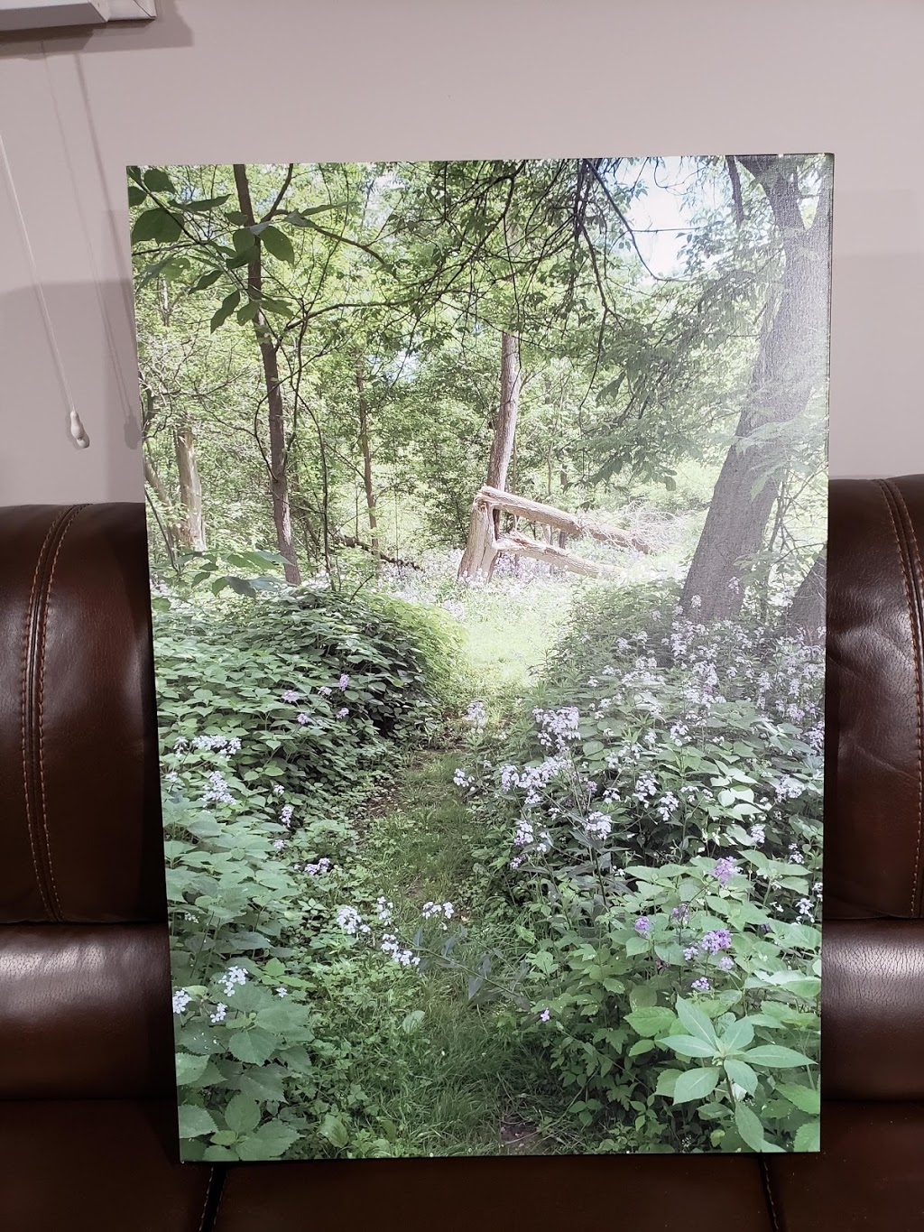 The Artshack | 45 N Division St, Hampton, ON L0B 1J0, Canada | Phone: (905) 260-2158