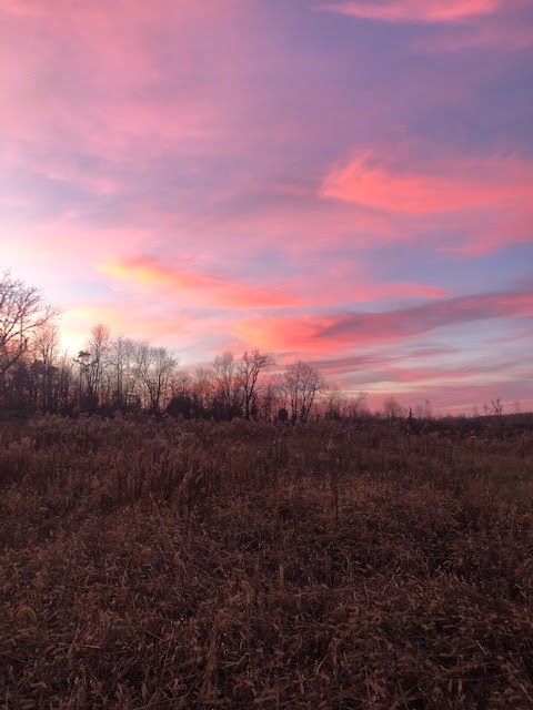 TRADITIONS; Tree Farm and Retreat | 668 Centre Line Rd, Marmora, ON K0K 2M0, Canada | Phone: (705) 559-4599