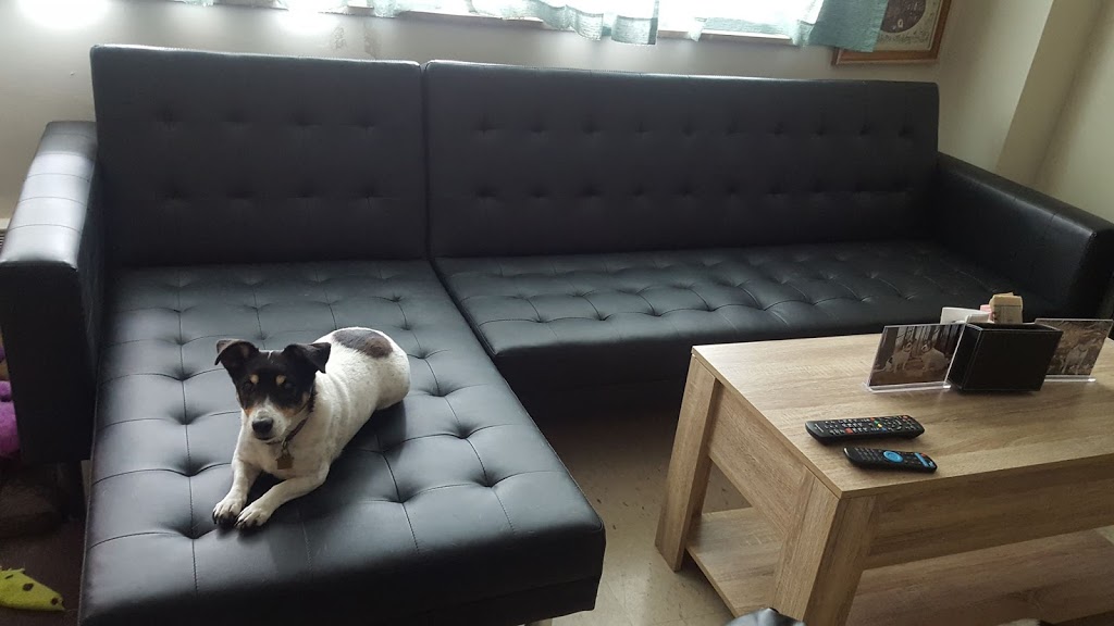 Paramount Furniture ltd. | 3711 Keele St, North York, ON M3J 1N1, Canada | Phone: (416) 398-3339