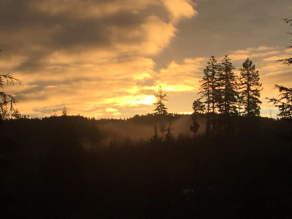 Maple Heart Ranch - Homestead | 1890 Sooke Lake Rd, Shawnigan Lake, BC V0R 2W3, Canada | Phone: (250) 806-0024