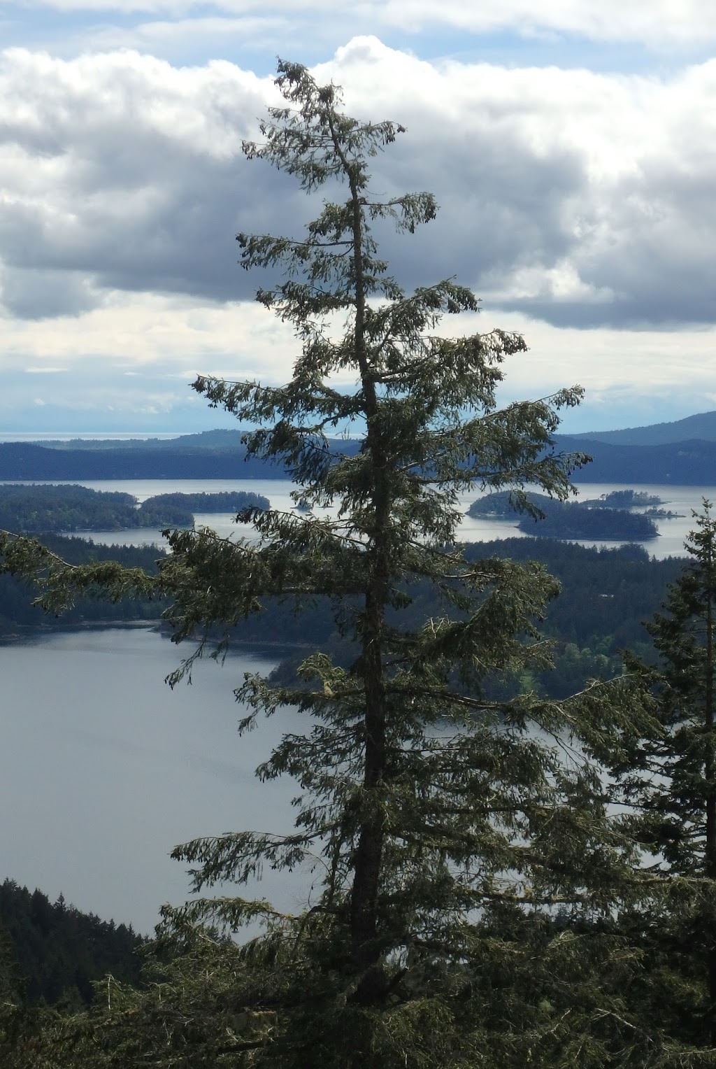 Turtleback Mountain South Trailhead | Orcas Island, Eastsound, WA 98245, USA
