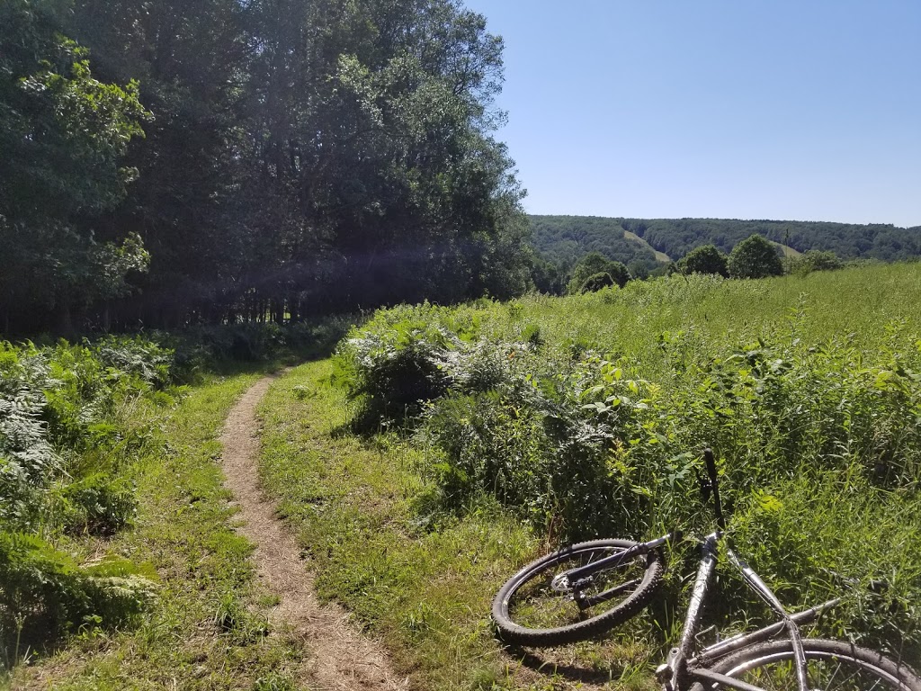 Sprague Brook County Park | 9674 Foote Rd, Glenwood, NY 14069, USA | Phone: (716) 592-2804