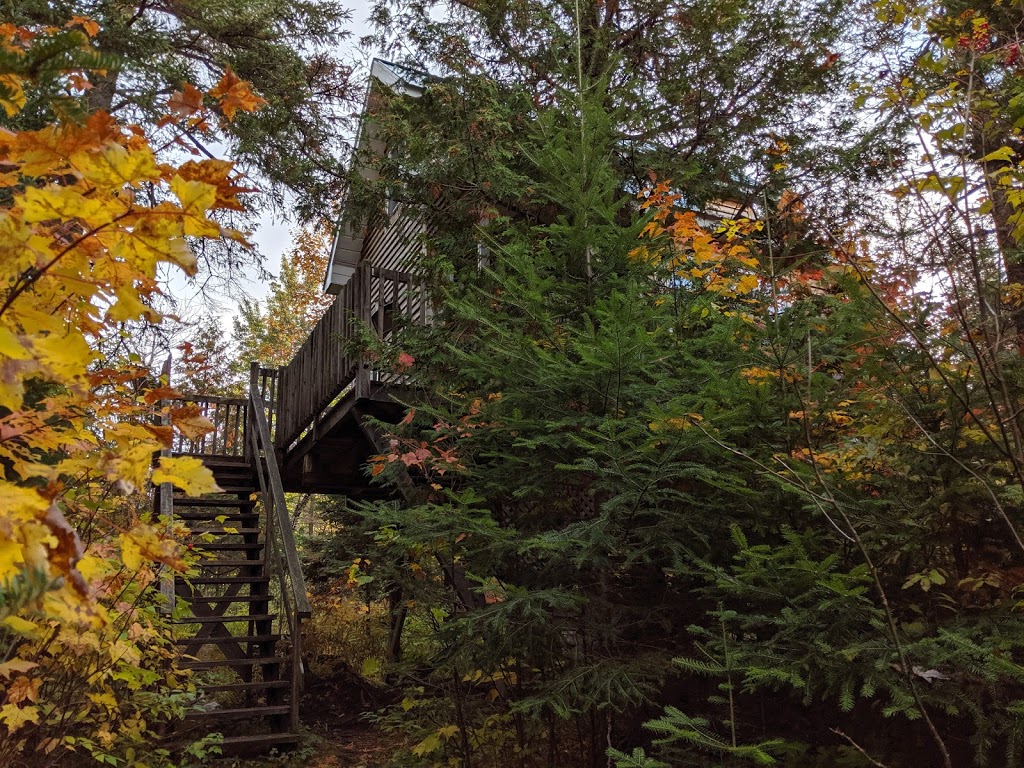 Camping Cédrière Mountain | 4149 Chemin de la Montagne, Milan, QC G0Y 1E0, Canada | Phone: (819) 888-1064