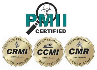 Mold stars | 351 Spinnaker Way, Concord, ON L4K 4N4, Canada | Phone: (877) 400-6653