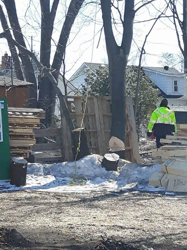 Big Wood Tree & Yard | 3769 Wood Ave, Orillia, ON L3V 6H3, Canada | Phone: (705) 795-4156