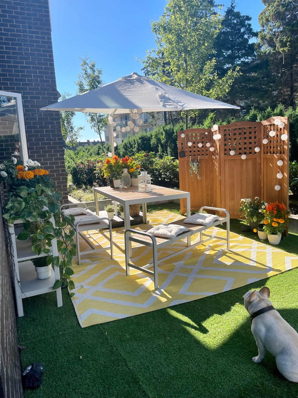 537 Foster by Bosa4Rent | 537 Foster Ave Office, Coquitlam, BC V3J 0J9, Canada | Phone: (604) 897-3333