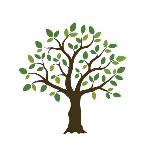 ElmTree Clinic | 10010 162 St NW, Edmonton, AB T5P 4R4, Canada | Phone: (780) 904-3781