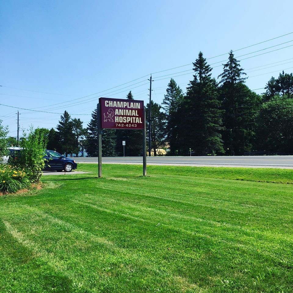 Wolf Lawn Care | 1673 Gazelle Trail, Lakefield, ON K0L 2H0, Canada | Phone: (705) 931-0214