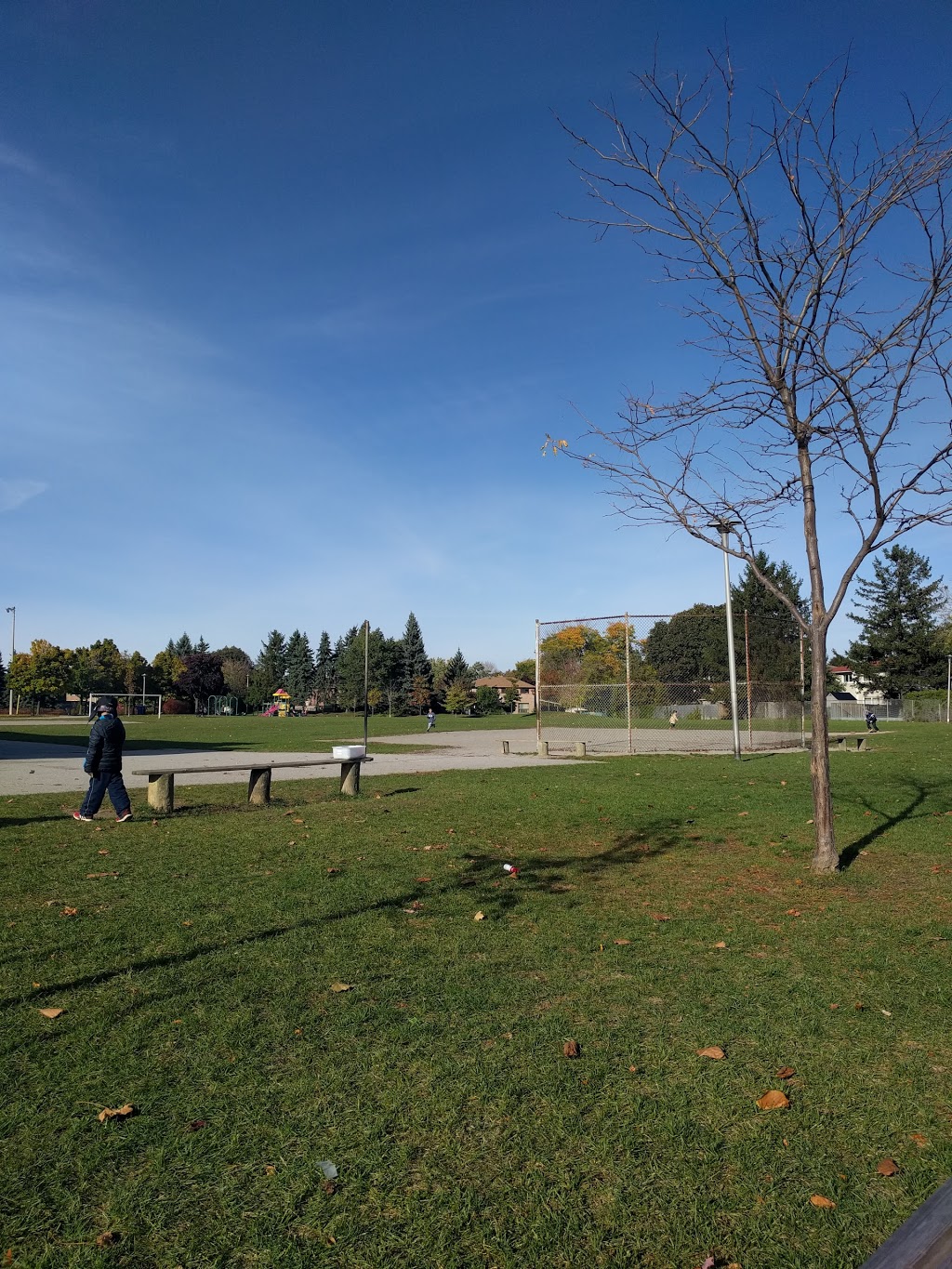 Muirhead Park | 65 Muirhead Rd, North York, ON M2J 3W4, Canada | Phone: (416) 392-2489