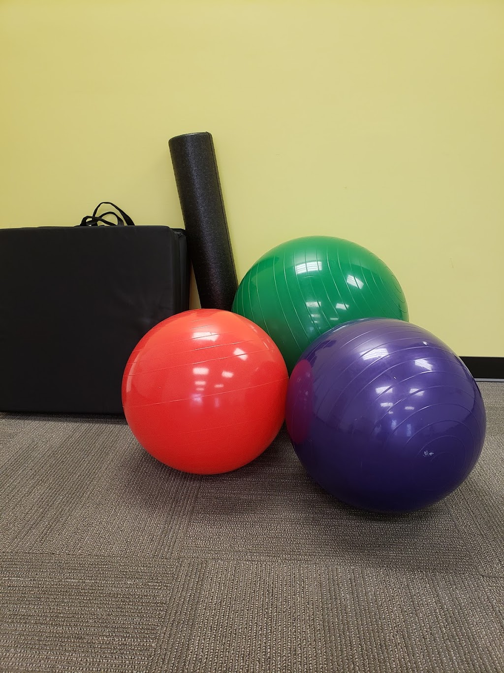 Neuro Physio | 2140 Regent St unit 11, Sudbury, ON P3E 5S8, Canada | Phone: (705) 586-2366