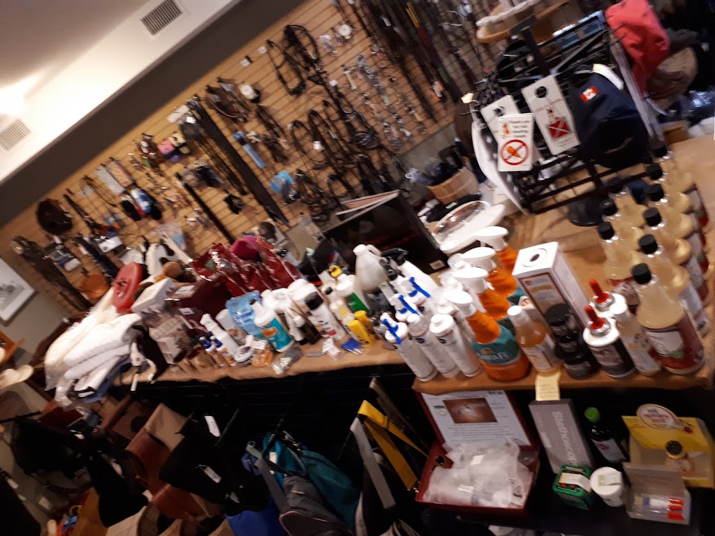 Horsen Around | 7875 48 Ave #6, Red Deer, AB T4P 2K1, Canada | Phone: (403) 356-0166