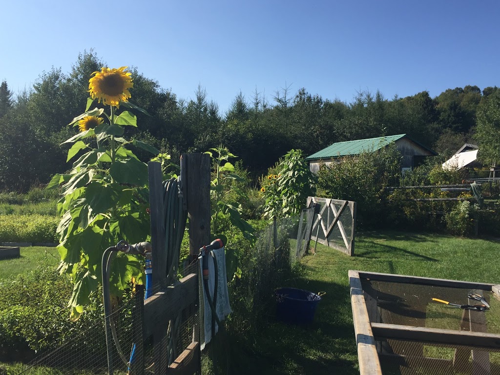 Runaway Creek Farm | 5 Chemin Thomson E, Arundel, QC J0T 1A0, Canada | Phone: (819) 687-3884